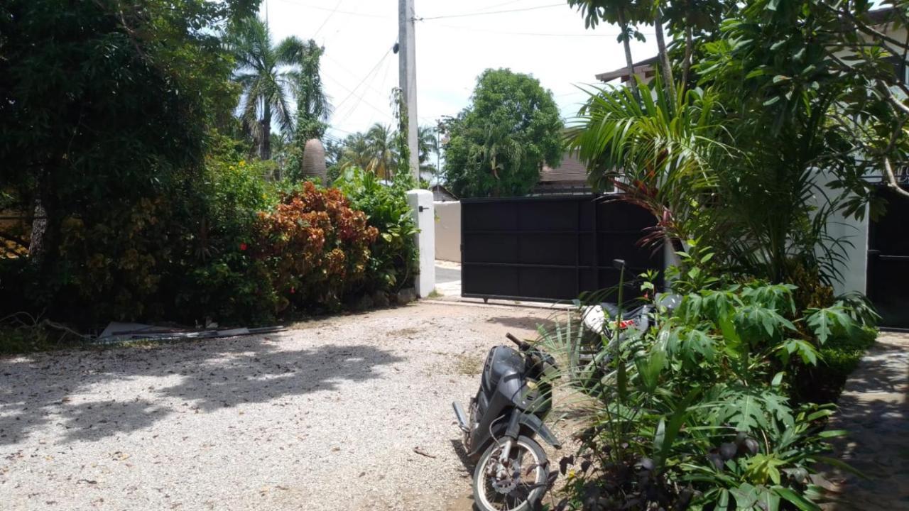 New Moringa Apartment Las Terrenas Exterior photo