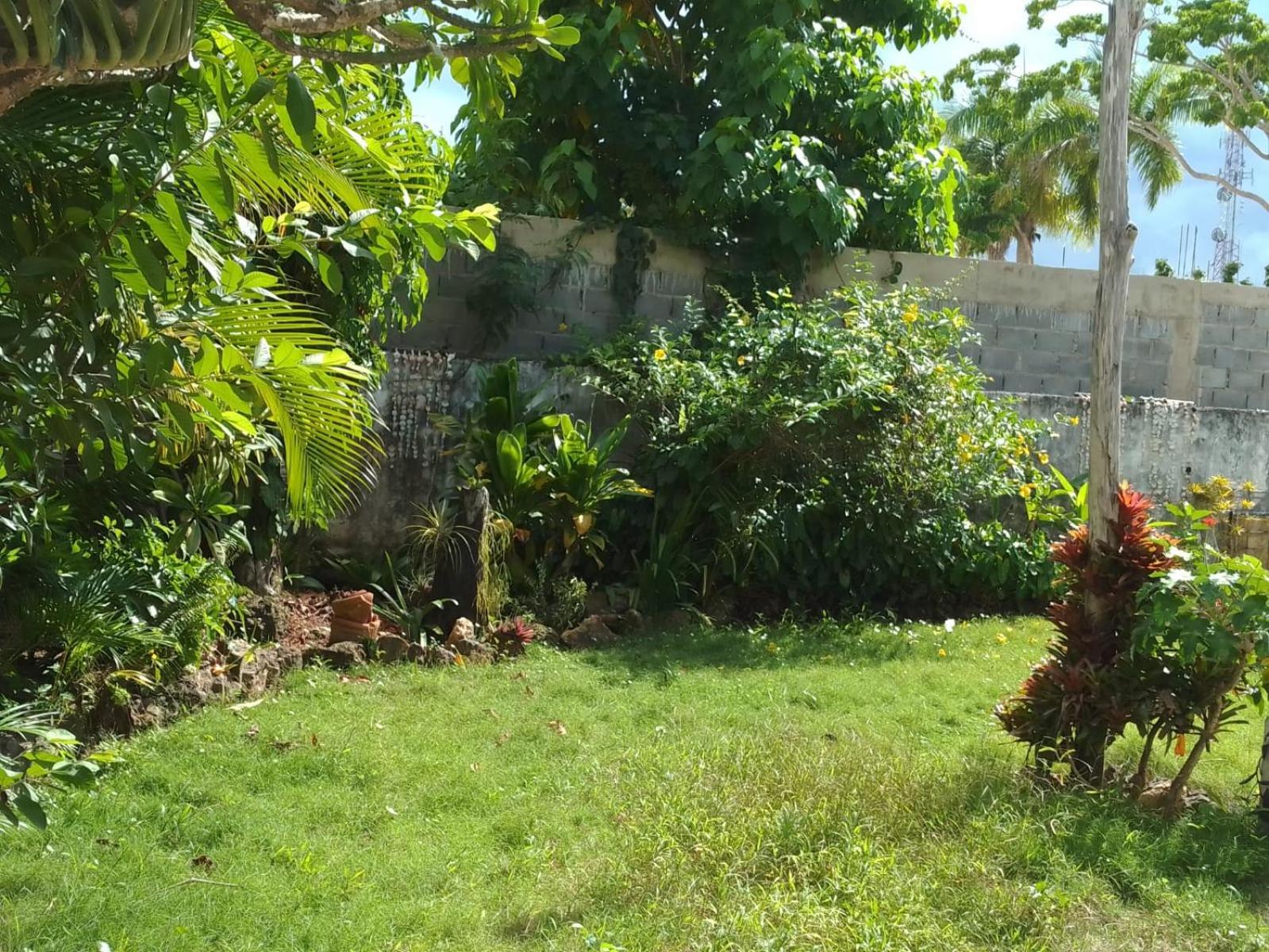 New Moringa Apartment Las Terrenas Exterior photo