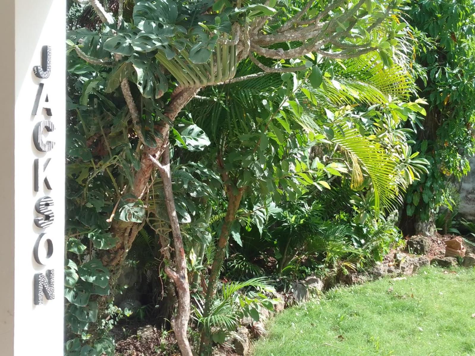 New Moringa Apartment Las Terrenas Exterior photo
